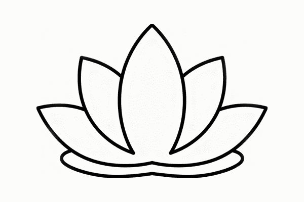 Yoga & Pilates equipment